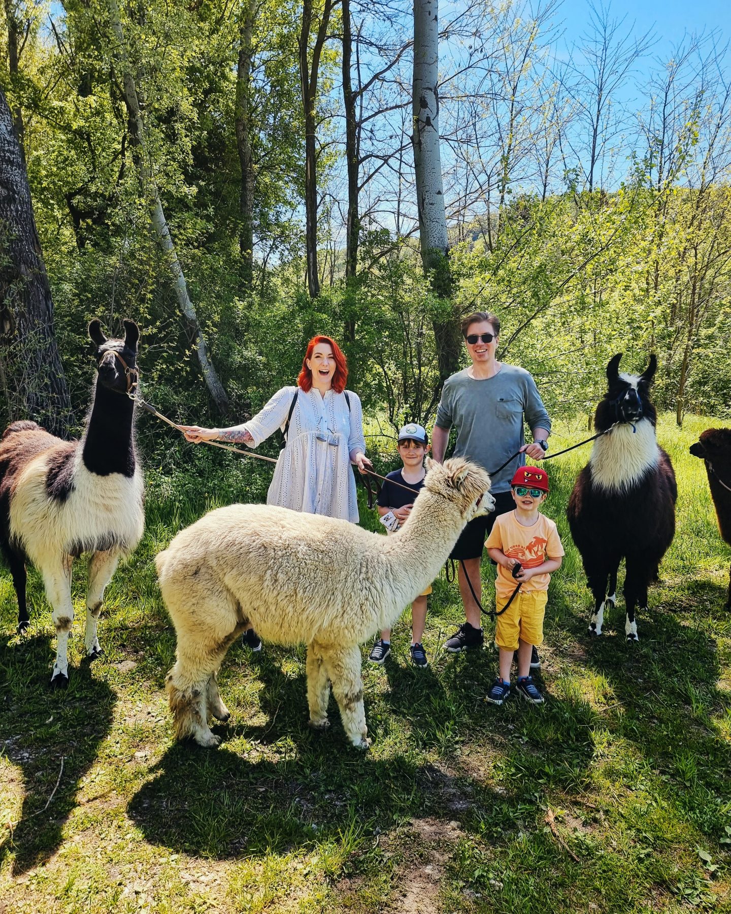 FAMILY TRAVEL Ausflugstipp in der Region Lama